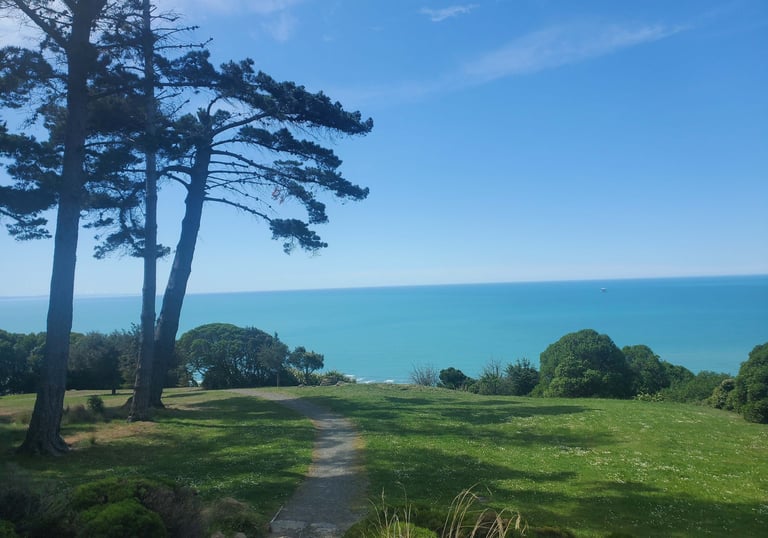 A park, grassy areas, trees, the sea in the background, blue sky