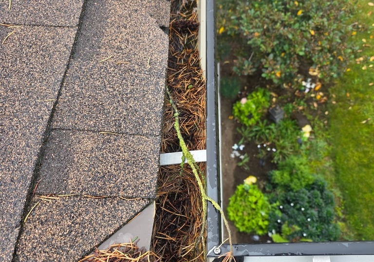 Gutter cleaning removing debris to improve water drainage