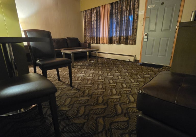 Commercial carpet and upholstery cleaning in a professional workspace