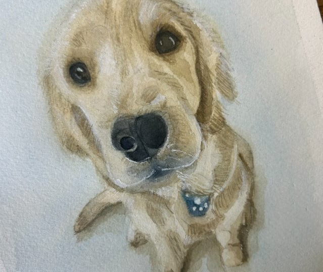Watercolor painting by Chris Dias Koot. Pet Collection