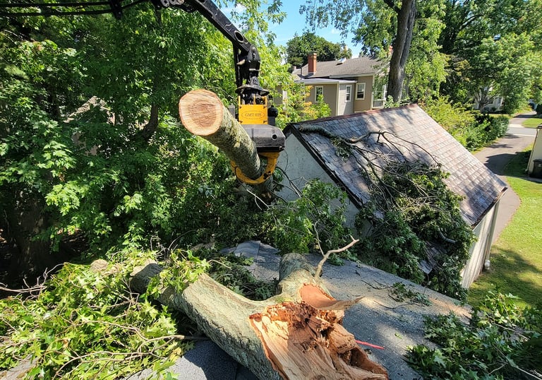 Professional emergency tree removal service lifting a fallen oak branch off a residential shingle roof.