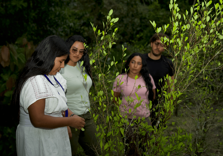 Guia indigena wiwa explicando la hoja de coca
