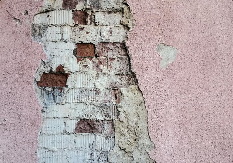 reparation crepis mur lyon