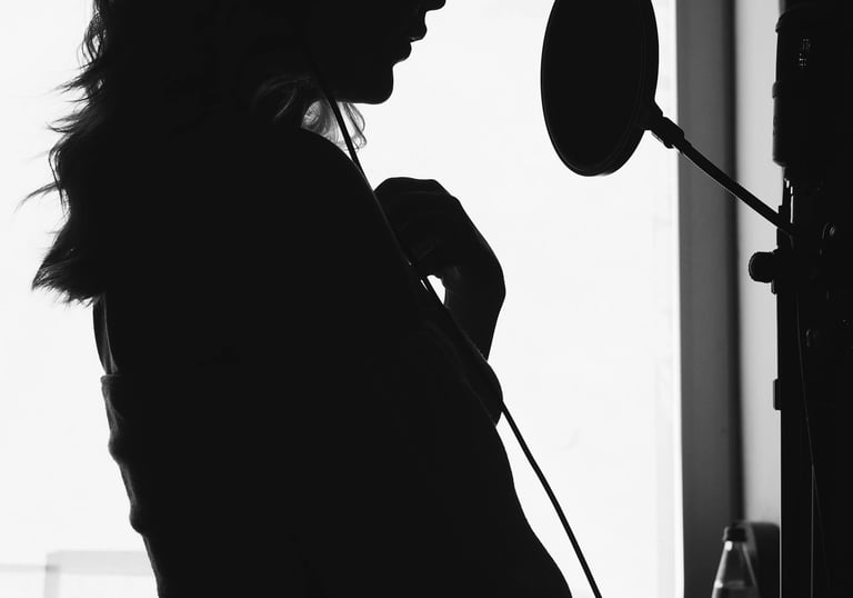 enregistrement de la voix dans un studio à Bayonne, Biarritz, Anglet, Pays basque