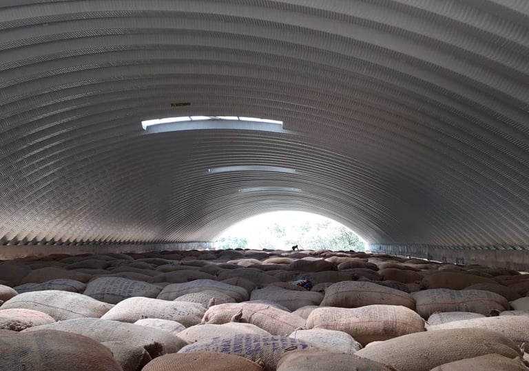 Warehouse for food grain