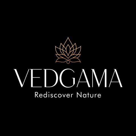 Vedgama logo
