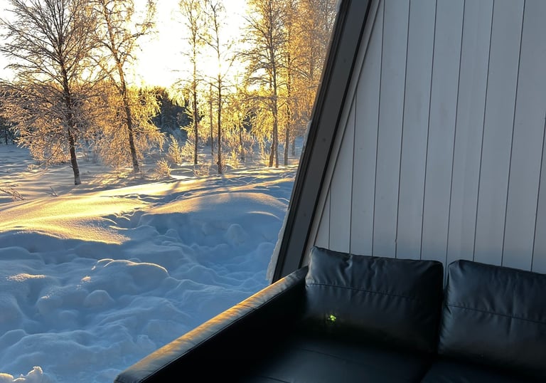 A black leather sofa inside a modern cabin with a scenic view of a snowy winter forest at sunset.