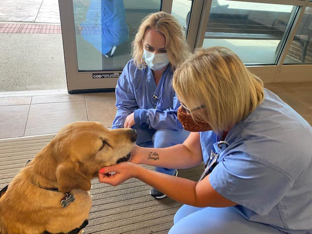 Buddy the Therapy dog is loved by two nurses at Tennova Healthcare.