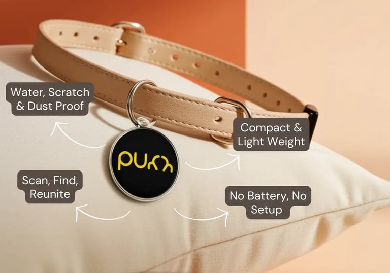 Purr QR Tag Features - Infographic