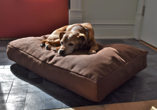 Bean Products organic hemp pet bed with recycled latex foam fill