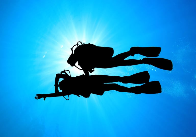 zwei Taucher die navigieren Specialdive