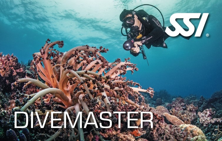 SSI Divemater Logo mit Taucher