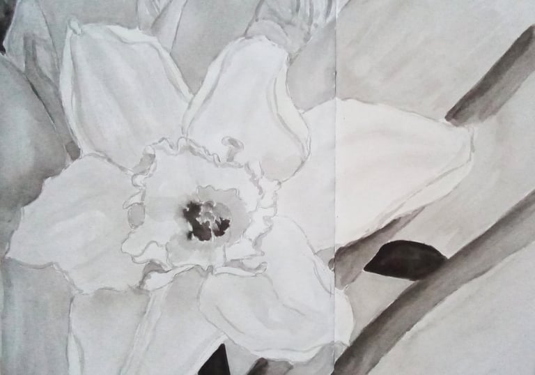daffodil painting monochrome