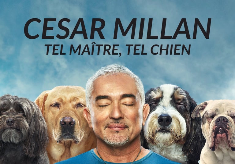 cesar millan tel maître, tel chien