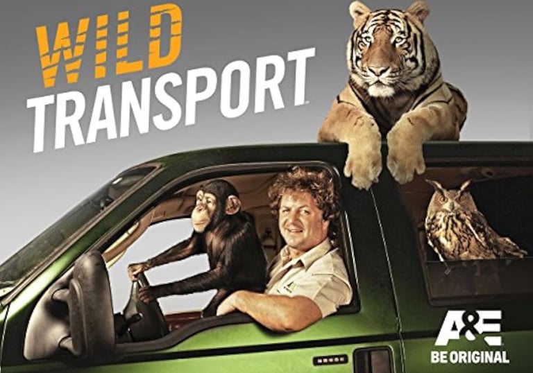 wild transport