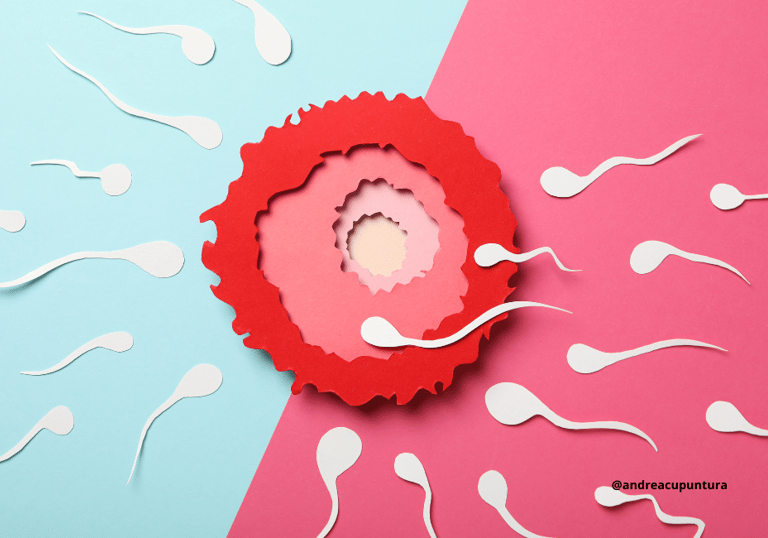 óvulo, esperma, fecundação, infertilidade feminina e masculina