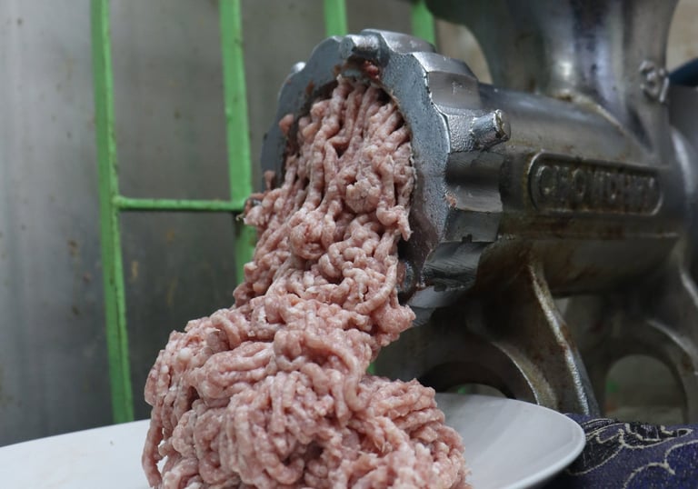 a person is holding a plate with meat and meat