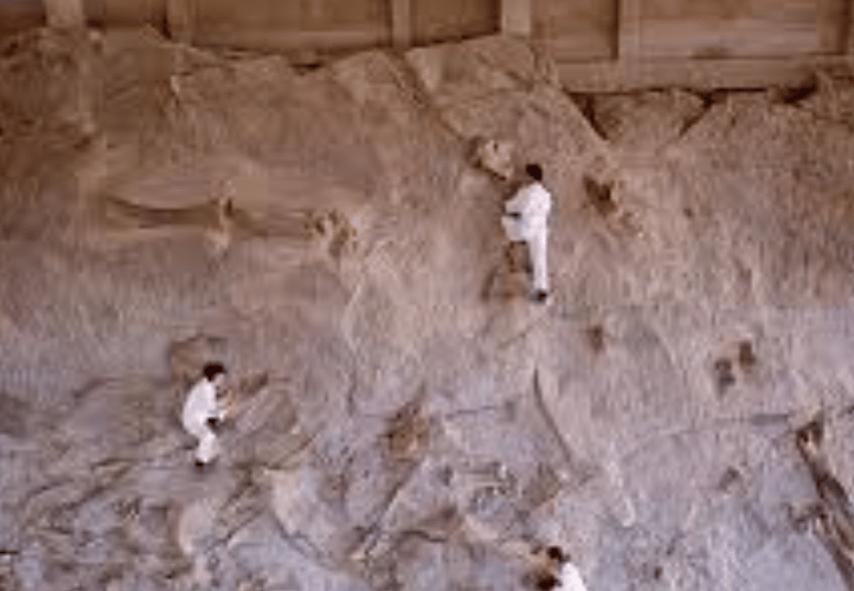 Dinosaur bones mass graves 3