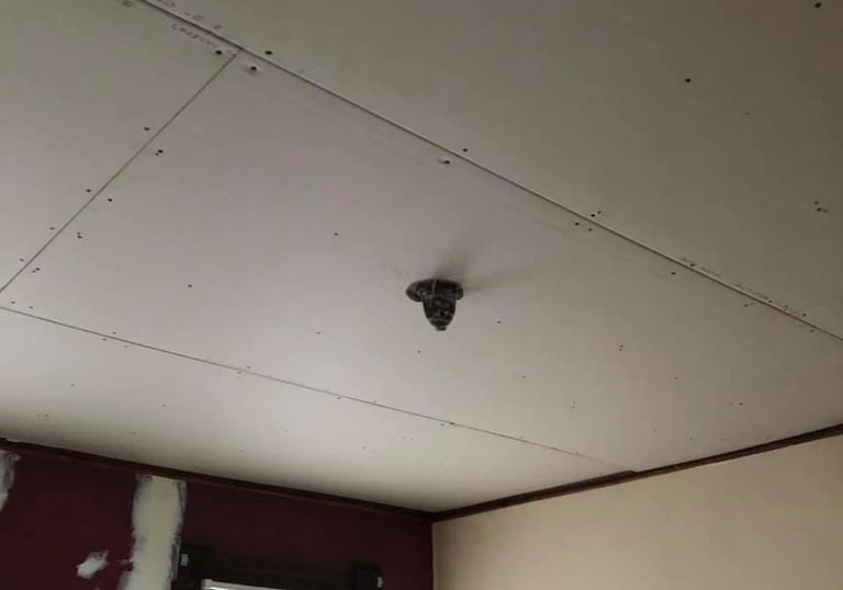 new drywall hung on a ceiling that had sagging cracking plaster in Springfield Ma