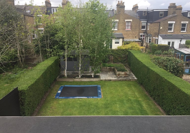 Hedge cutting and trimming