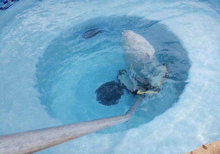 San Antonio Texas swimming pool cleaning service