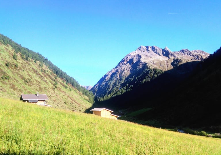 a mountain scene with a cow grazing in the grass