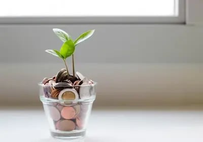 A small plant growing from a glass filled with coins, illustrating Binance's passive earning options