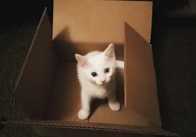 OKX $50 Mystery Box bonus for new users with referral code BONUSOK