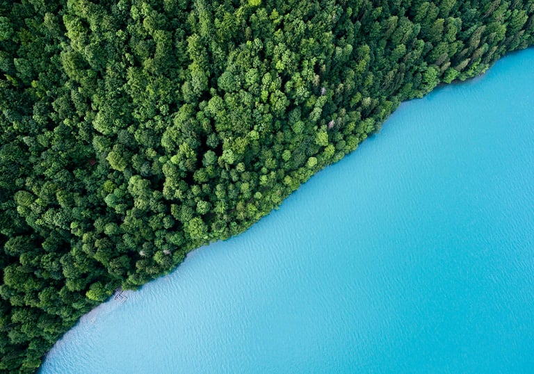 water near a forest
