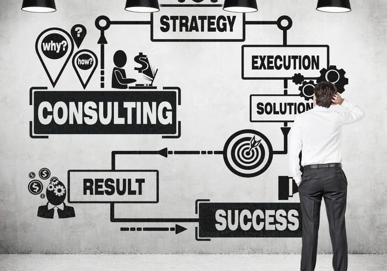 Bizolvo Consulting