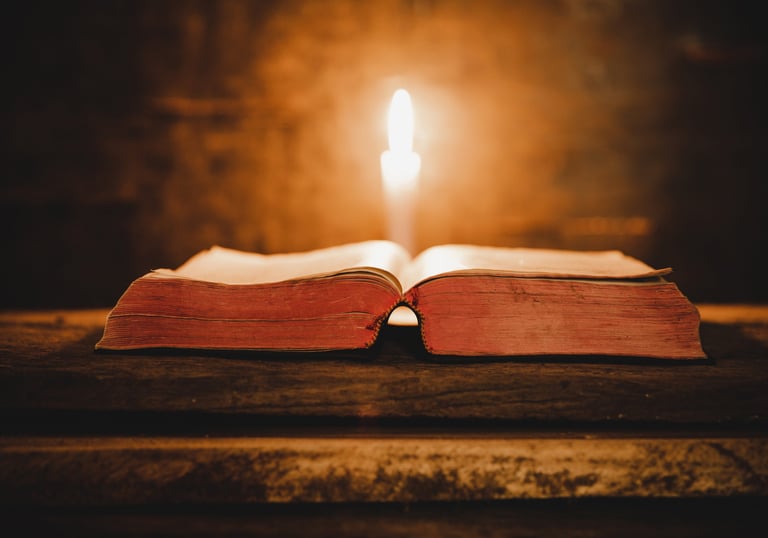 image from freepik.com