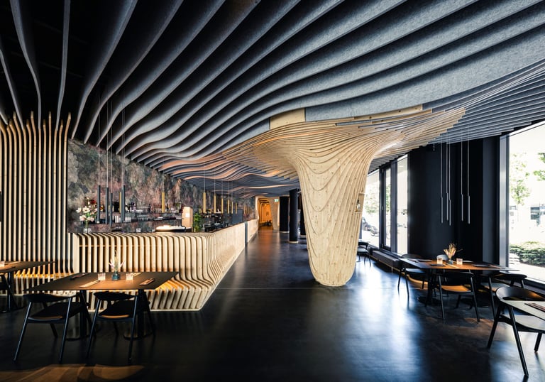 Acoustique mural et plafond