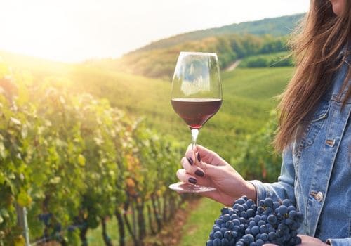 viñedo - Monolito - Tour peña de bernal saliendo de morelia