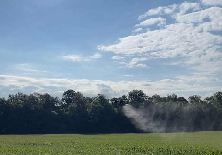 Drone spraying fungicide on a field in the early morning
