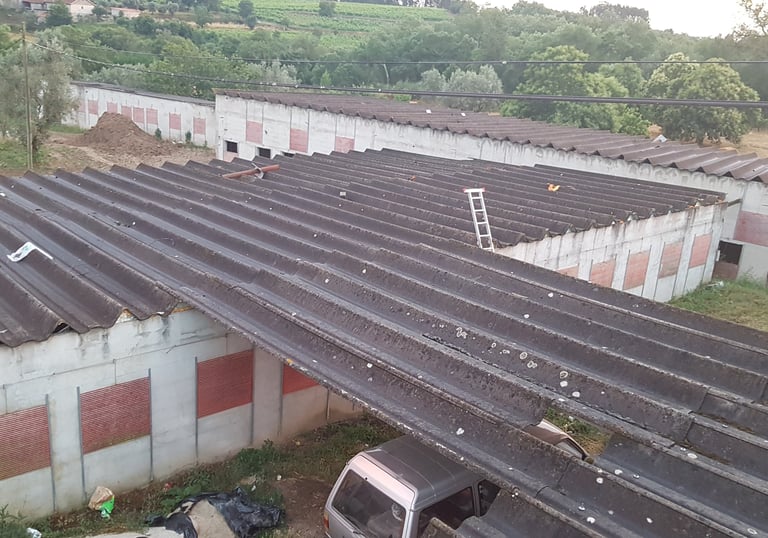 a truck parked on a roof with a ladder
