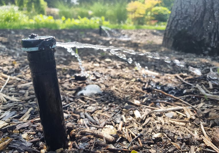 a nozzle with a bubbler spraying a tree