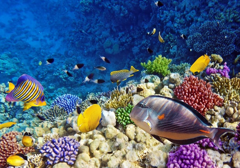 Properties in Port Ghalib Marsa Alam Egypt
