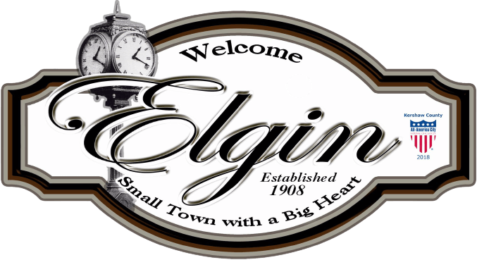 Elgin SC