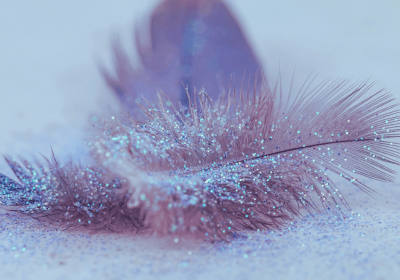 Formule Plume de Phénix
