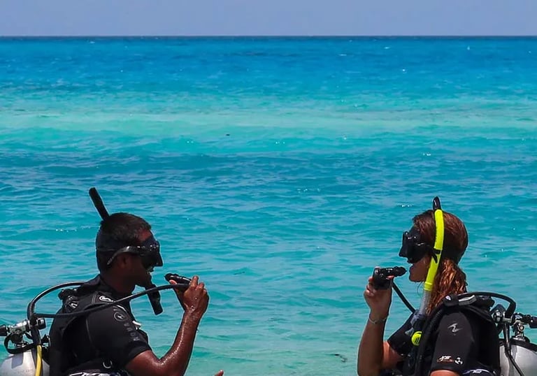 two scuba divers in the water with their equipment