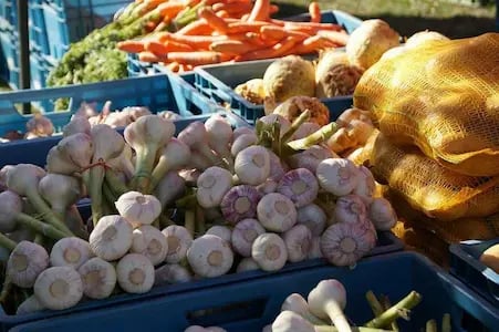 Ty Bayon - Les marchés - Les marchés incontournables - Marché d’Étel