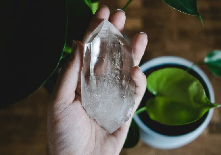 a person holding a piece of crystal next to a potted plant