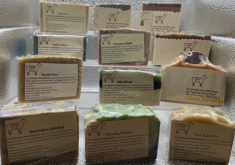 Display of assorted handmade goat milk soaps from Pagnotta Family Farm, featuring a variety of natural scents and colors.