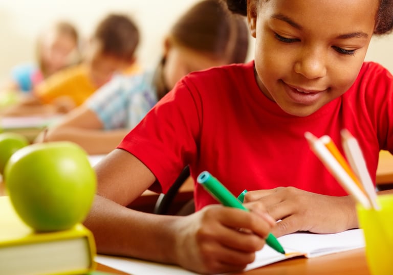 responsabilité-civile-scolaire-mayotte