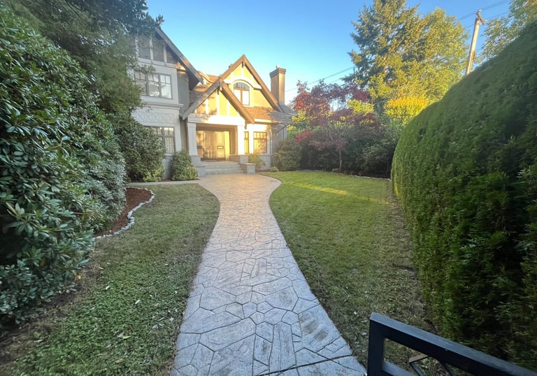 Cedar Hedge