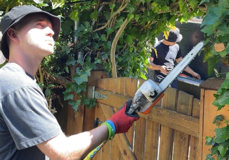 Tree Pruning Tool