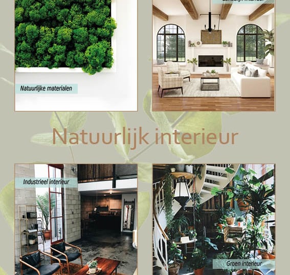 Brochures