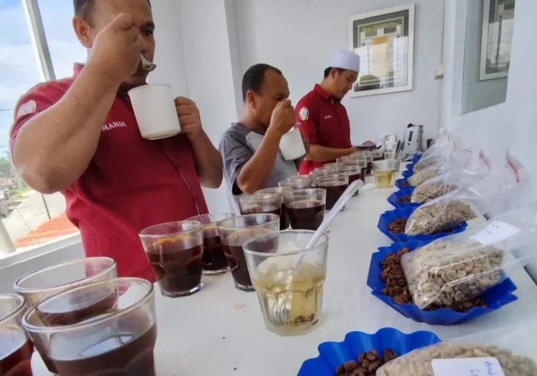 Coffee taster enjoying a brewed cup of Indonesian Arabica beans supplied by Dwipa Coffee