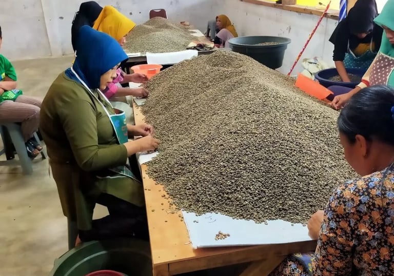 Quality control: defects removed to meet export grade