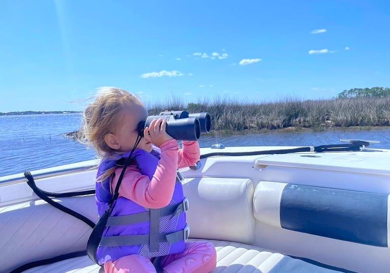 Looking for dolphins on guided boat tour off 30A